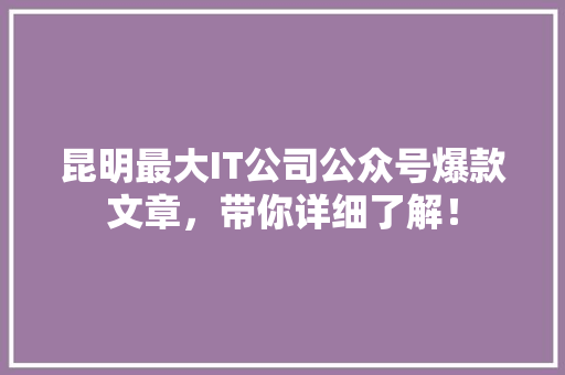 昆明最大IT公司公众号爆款文章，带你详细了解！ 网站开发