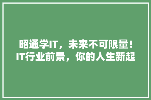 昭通学IT，未来不可限量！IT行业前景，你的人生新起点！