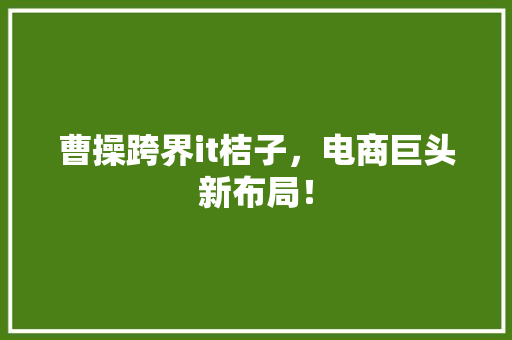 曹操跨界it桔子，电商巨头新布局！