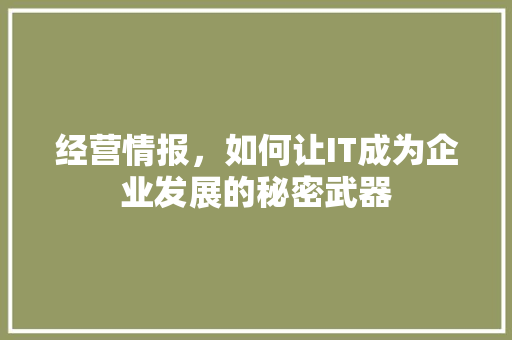 经营情报，如何让IT成为企业发展的秘密武器 百度算法
