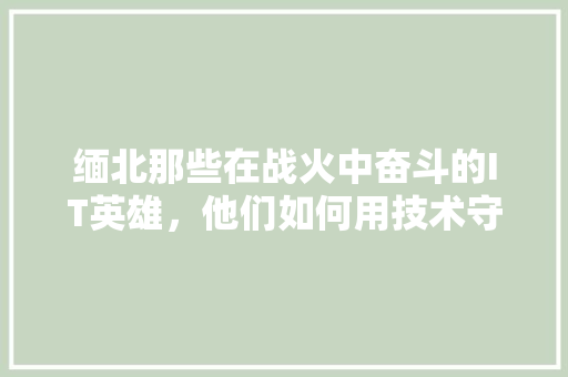 缅北那些在战火中奋斗的IT英雄，他们如何用技术守护和平