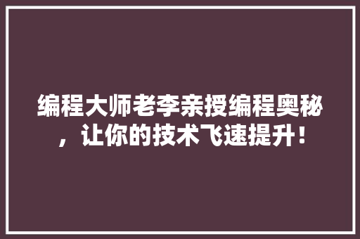 编程大师老李亲授编程奥秘，让你的技术飞速提升！ seo技术