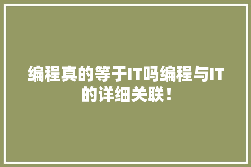 编程真的等于IT吗编程与IT的详细关联！