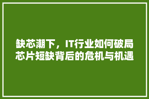 缺芯潮下，IT行业如何破局芯片短缺背后的危机与机遇 头条优化