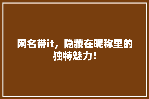 网名带it，隐藏在昵称里的独特魅力！