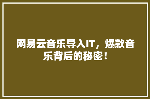 网易云音乐导入IT，爆款音乐背后的秘密！