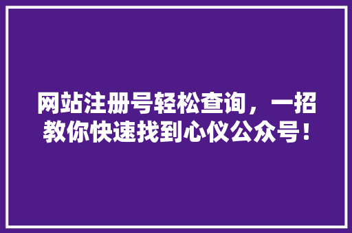 网站注册号轻松查询，一招教你快速找到心仪公众号！ 网站优化