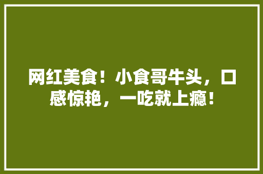 网红美食！小食哥牛头，口感惊艳，一吃就上瘾！