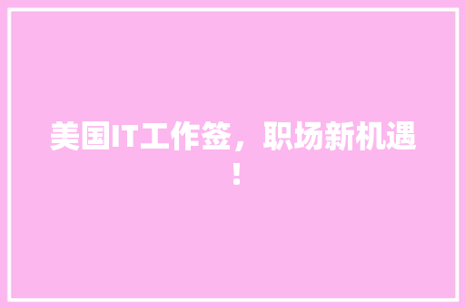 美国IT工作签，职场新机遇！ 网站优化