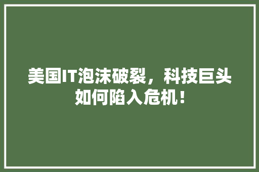 美国IT泡沫破裂，科技巨头如何陷入危机！