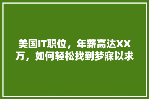 美国IT职位，年薪高达XX万，如何轻松找到梦寐以求的工作！ 网站开发