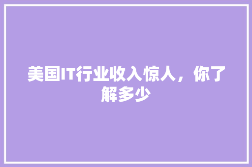 美国IT行业收入惊人，你了解多少 AI技术学习