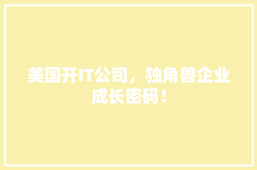 美国开IT公司，独角兽企业成长密码！