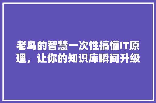 老鸟的智慧一次性搞懂IT原理，让你的知识库瞬间升级！