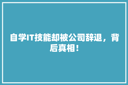 自学IT技能却被公司辞退，背后真相！ 搜狗优化