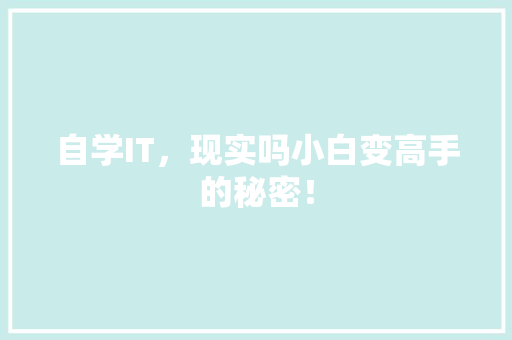自学IT，现实吗小白变高手的秘密！ 英文谷歌算法