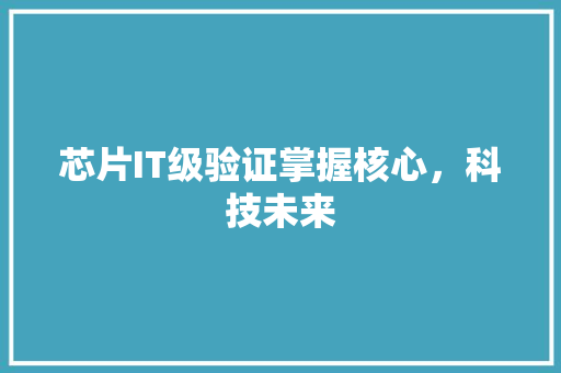 芯片IT级验证掌握核心，科技未来