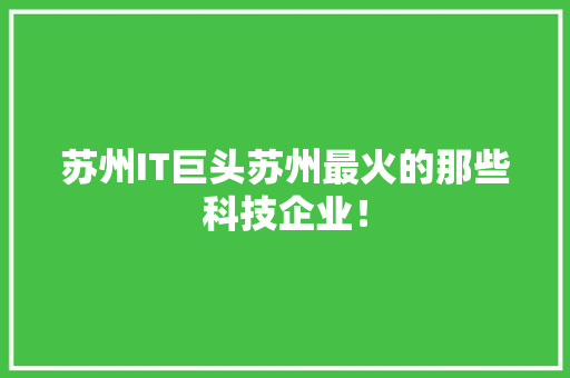 苏州IT巨头苏州最火的那些科技企业！