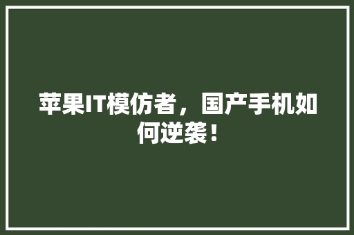 苹果IT模仿者，国产手机如何逆袭！ 头条优化