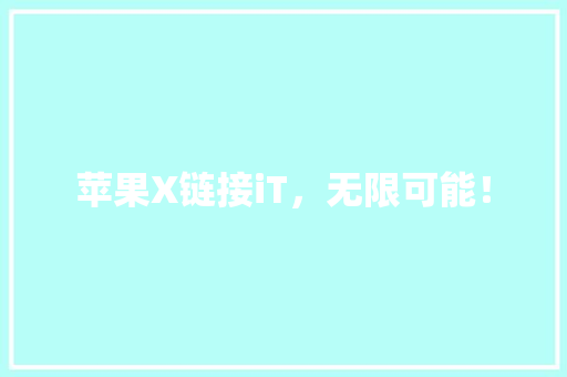 苹果X链接iT，无限可能！ 网站开发