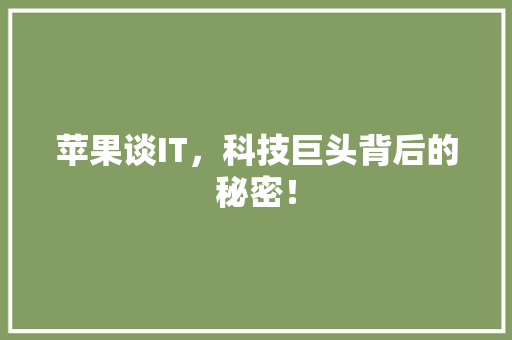 苹果谈IT，科技巨头背后的秘密！ 搜狗优化
