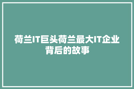 荷兰IT巨头荷兰最大IT企业背后的故事 小程序开发