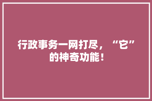 行政事务一网打尽，“它”的神奇功能！