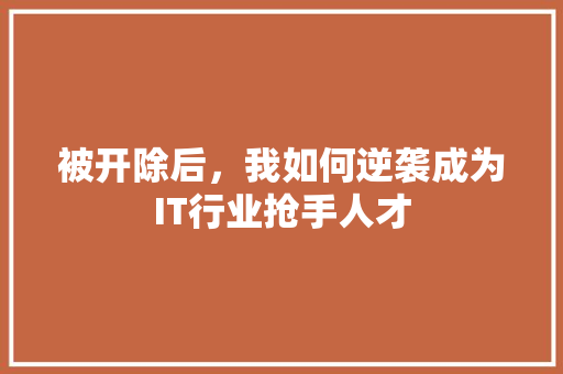 被开除后，我如何逆袭成为IT行业抢手人才 360搜优化