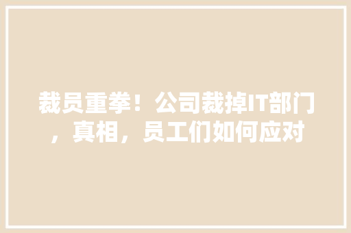 裁员重拳！公司裁掉IT部门，真相，员工们如何应对