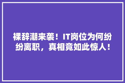裸辞潮来袭！IT岗位为何纷纷离职，真相竟如此惊人！