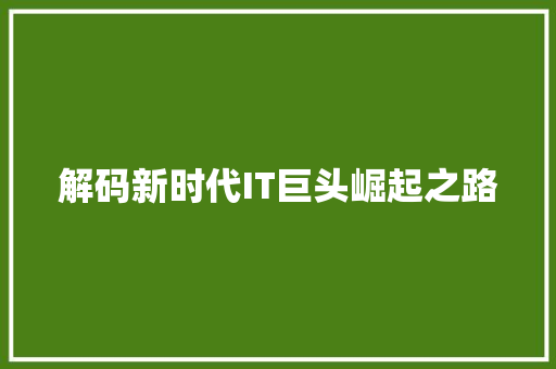解码新时代IT巨头崛起之路 搜狗优化