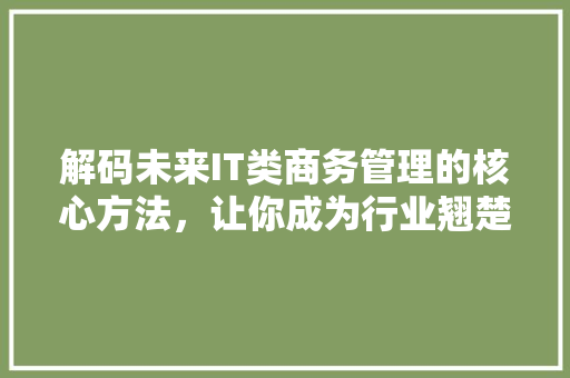 解码未来IT类商务管理的核心方法，让你成为行业翘楚！