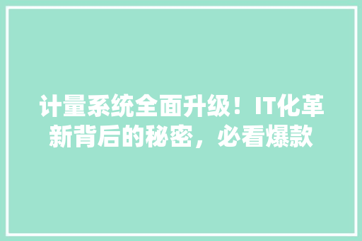 计量系统全面升级！IT化革新背后的秘密，必看爆款