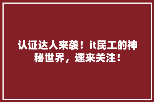 认证达人来袭！it民工的神秘世界，速来关注！ 搜狗优化