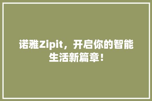 诺雅Zipit，开启你的智能生活新篇章！ seo技术