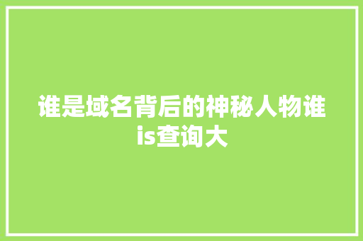 谁是域名背后的神秘人物谁is查询大