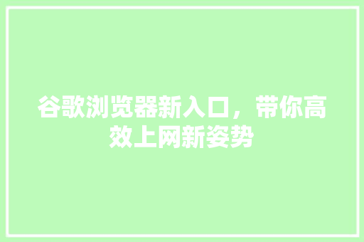 谷歌浏览器新入口，带你高效上网新姿势