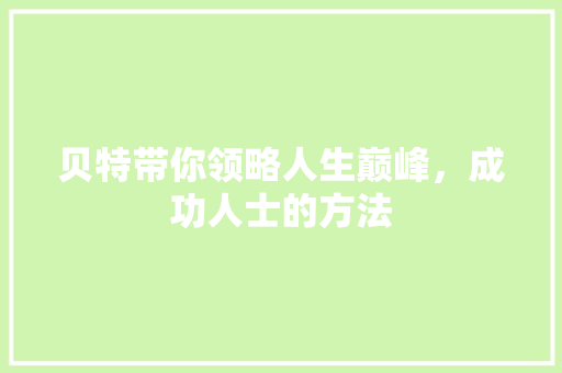 贝特带你领略人生巅峰，成功人士的方法 seo技术