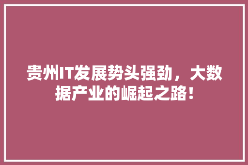 贵州IT发展势头强劲，大数据产业的崛起之路！