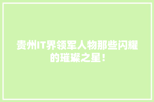 贵州IT界领军人物那些闪耀的璀璨之星！