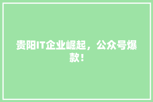 贵阳IT企业崛起，公众号爆款！