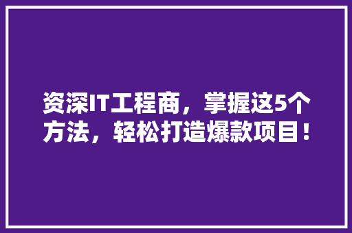 资深IT工程商，掌握这5个方法，轻松打造爆款项目！