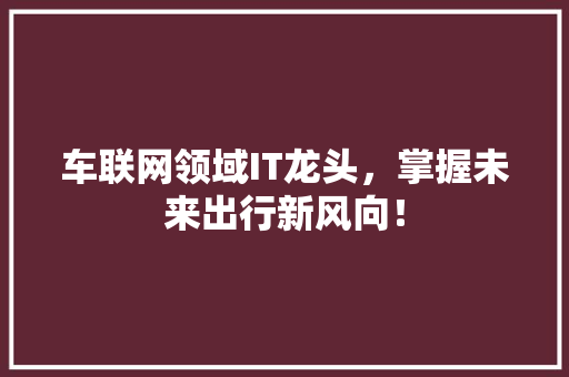 车联网领域IT龙头，掌握未来出行新风向！ 网站优化