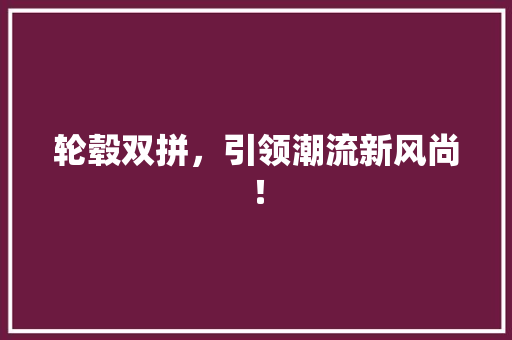 轮毂双拼，引领潮流新风尚！