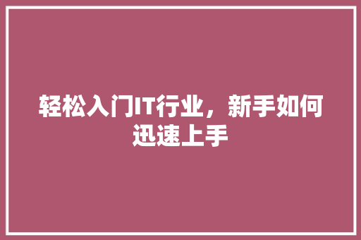 轻松入门IT行业，新手如何迅速上手