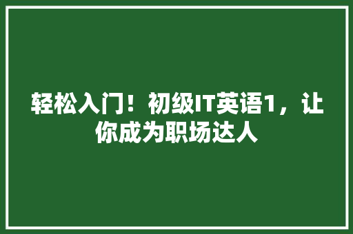 轻松入门！初级IT英语1，让你成为职场达人 搜狗优化