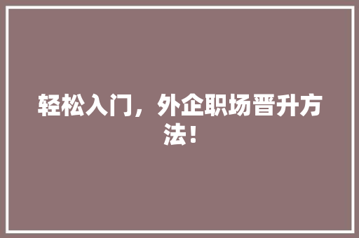 轻松入门，外企职场晋升方法！