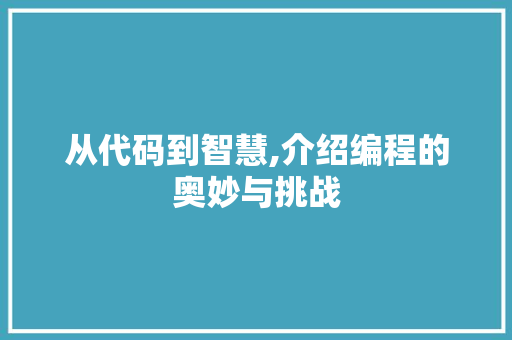 从代码到智慧,介绍编程的奥妙与挑战