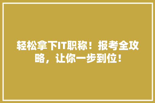 轻松拿下IT职称！报考全攻略，让你一步到位！ 网站开发
