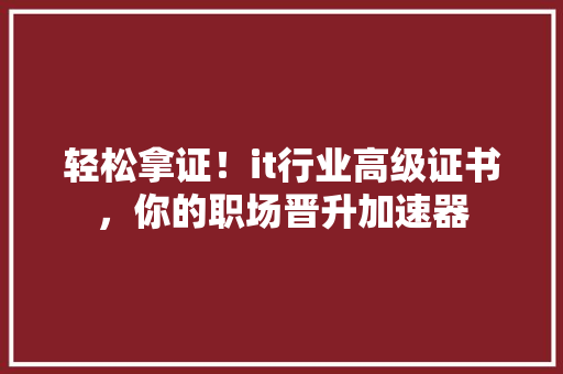 轻松拿证！it行业高级证书，你的职场晋升加速器 搜狗优化